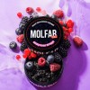 Табак Molfar Chill Line Вибухові Ягоди (Черника Малина Лёд) 100гр Табак Molfar Chill Line Вибухові Ягоди (Черника Малина Лёд) 100гр