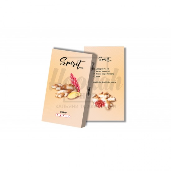 Заправка Spirit Gastro Імбир (Ginger) 50 g. 