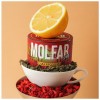 Тютюн Molfar Spirit Line Смак Годжі (Зелений Чай Годжі Лимон) 100 гр Тютюн Molfar Spirit Line Смак Годжі (Зелений Чай Годжі Лимон) 100 гр