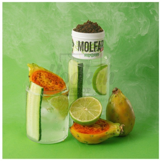 Тютюн Molfar Virginia Line Гоу Фреш (Лимонад Огірок Кактус Лайм) 40 гр
