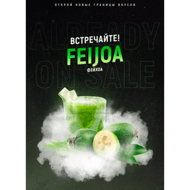 Тютюн 4:20 Classic Line Feijoa (Фейхоа) 100 гр Тютюн 4:20 Classic Line Feijoa (Фейхоа) 100 гр