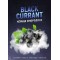 Табак 4:20 Black Currant (Чёрная Смородина) 100 гр