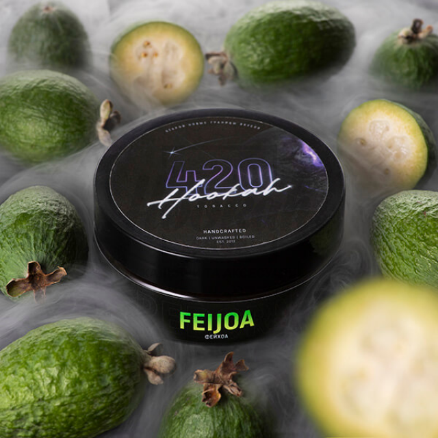 Тютюн 4:20 Classic Line Feijoa (Фейхоа) 100 гр Тютюн 4:20 Classic Line Feijoa (Фейхоа) 100 гр