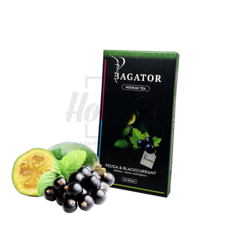 Безтютюнова суміш Bagator Feijoa & Blackcurrant (Фейхоа Смородіна) 50гр