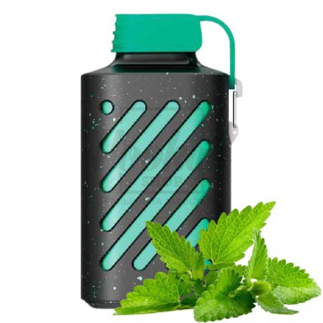 Електронна сигарета Vozol 10000 Cool Mint (М'ята) Електронна сигарета Vozol 10000 Cool Mint (М'ята)