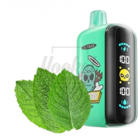 Электронная сигарета Elf Bar Gh23000 Alpine Mint (Мята) Электронная сигарета Elf Bar Gh23000 Alpine Mint (Мята)