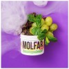 Тютюн Molfar Virginia Line Виноградний Орбіт (Виноградна Жуйка) 40 гр Тютюн Molfar Virginia Line Виноградний Орбіт (Виноградна Жуйка) 40 гр