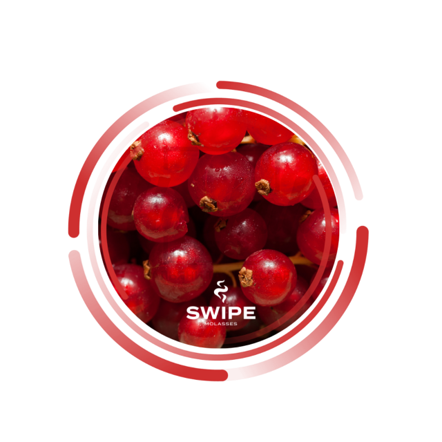 Безтютюнова суміш Swipe Currant (Смородина) 50 гр Безтютюнова суміш Swipe Currant (Смородина) 50 гр