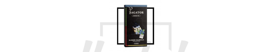 Bagator