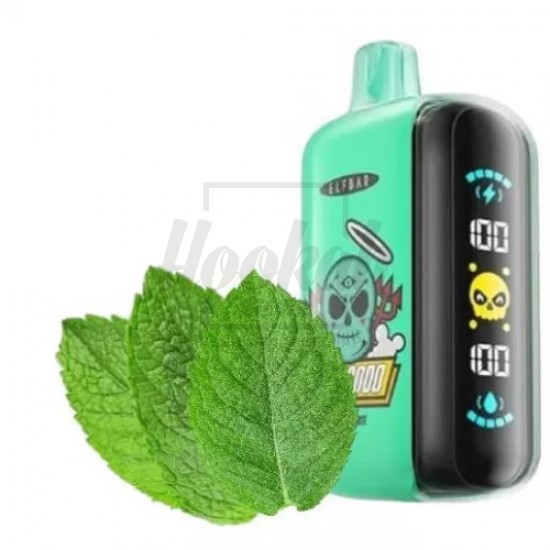 Електронна сигарета Elf Bar Gh23000 Alpine Mint (М'ята) Електронна сигарета Elf Bar Gh23000 Alpine Mint (М'ята)