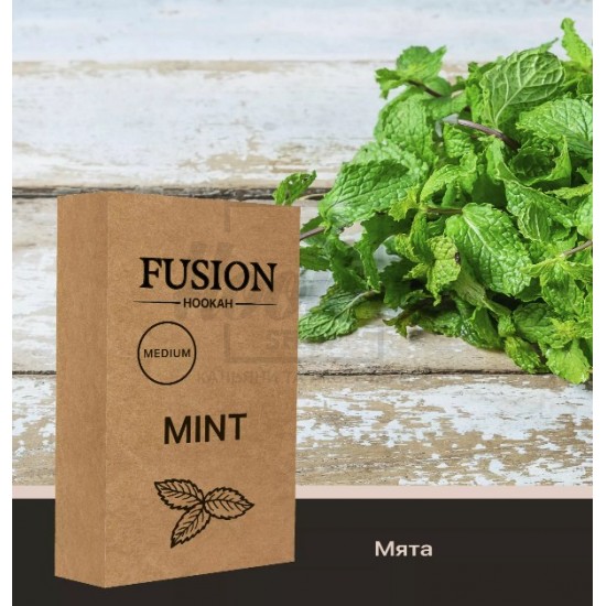 Тютюн Fusion Medium Mint (М'ята) 100 гр
