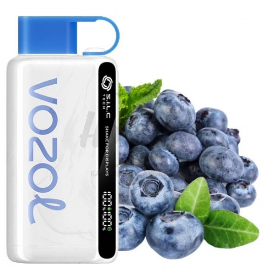 Електронна сигарета Vozol 12000 Blueberry Storm (Чорниця) Електронна сигарета Vozol 12000 Blueberry Storm (Чорниця)