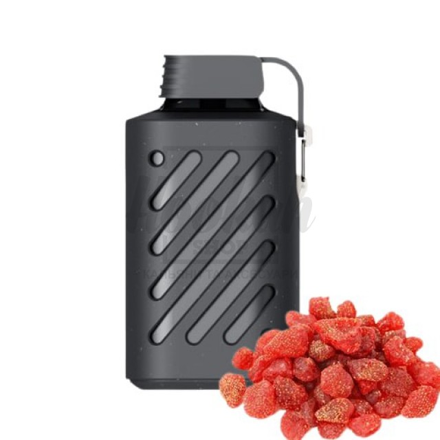 Електронна сигарета Vozol 10000 Cedar Berries (Кедрові ягоди)
